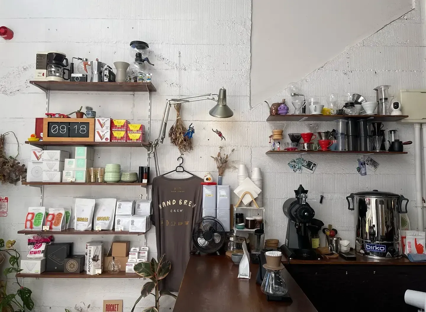 Interior of a minimalist Wellington café with shelves of coffee gear, beans, and brewing tools