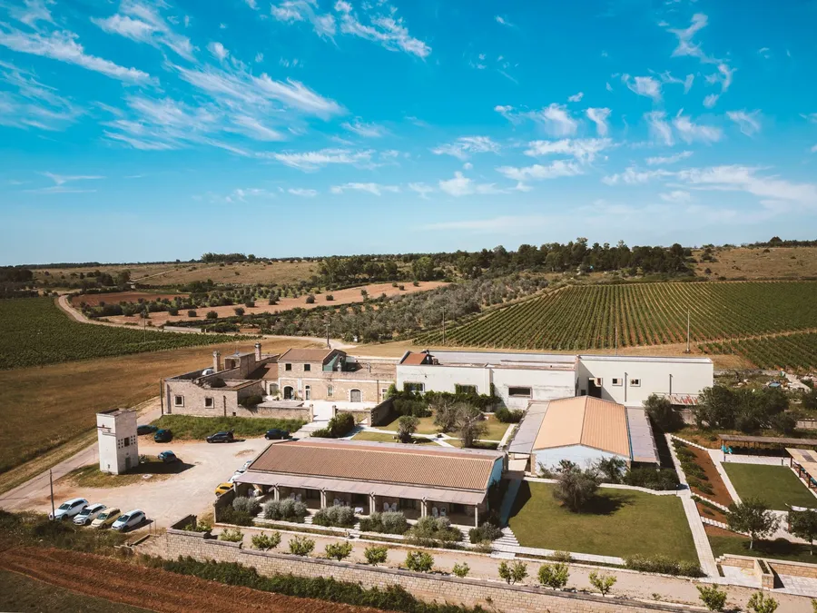 Vue aérienne de Masseria Stali, une propriété luxueuse entourée de vignobles et de champs.