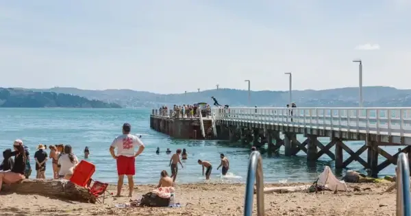 Beachgoers soak up the sun and salt water at Days Bay 