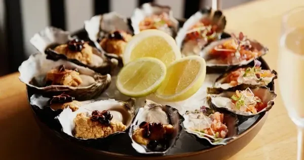 Fresh oysters at Pearl + Co seafood restaurant in Hobart 