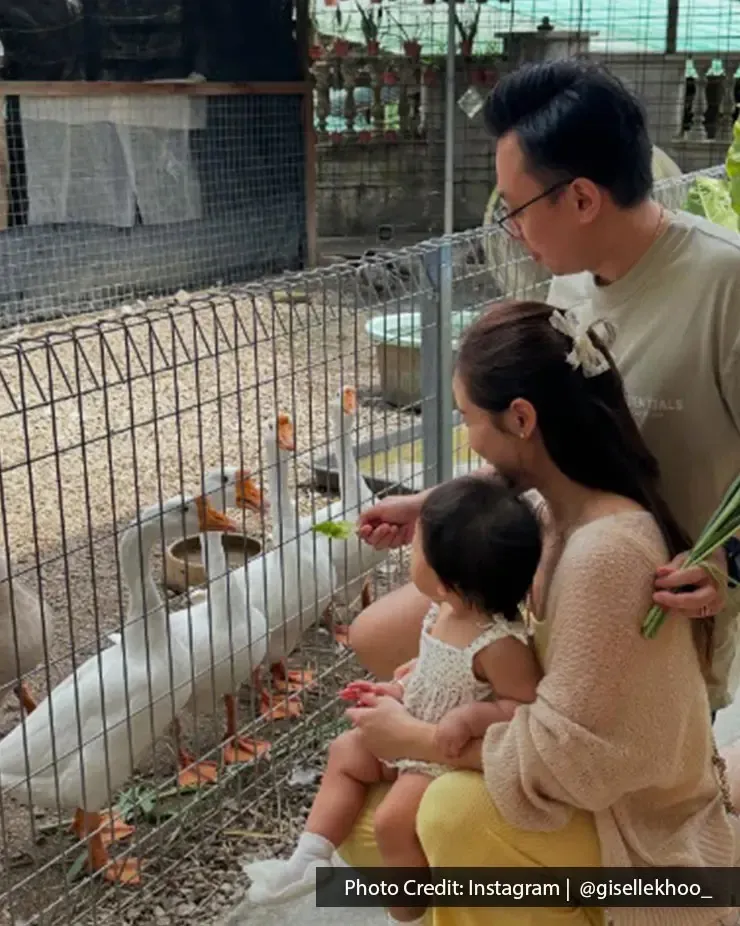 Parents and child enjoying an interactive animal activity at Saanen Dairy Goat Farm