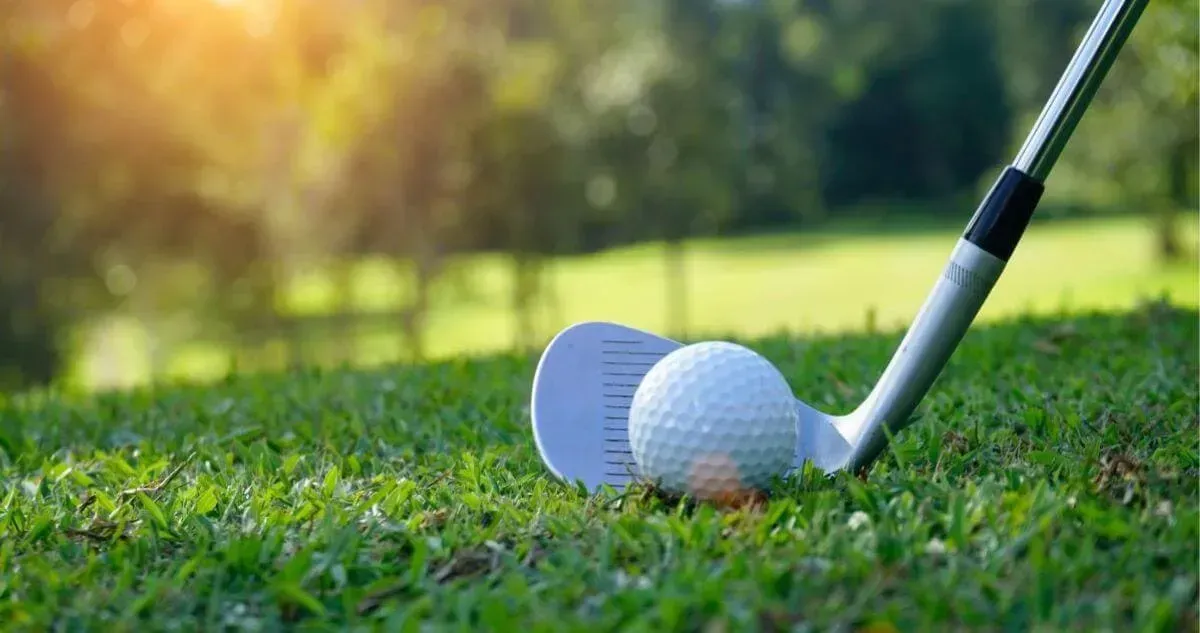 Close-up of a golf ball about to be hit on a Launceston Golf Course