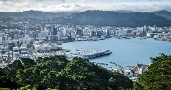 Wellington city skyline and harbour