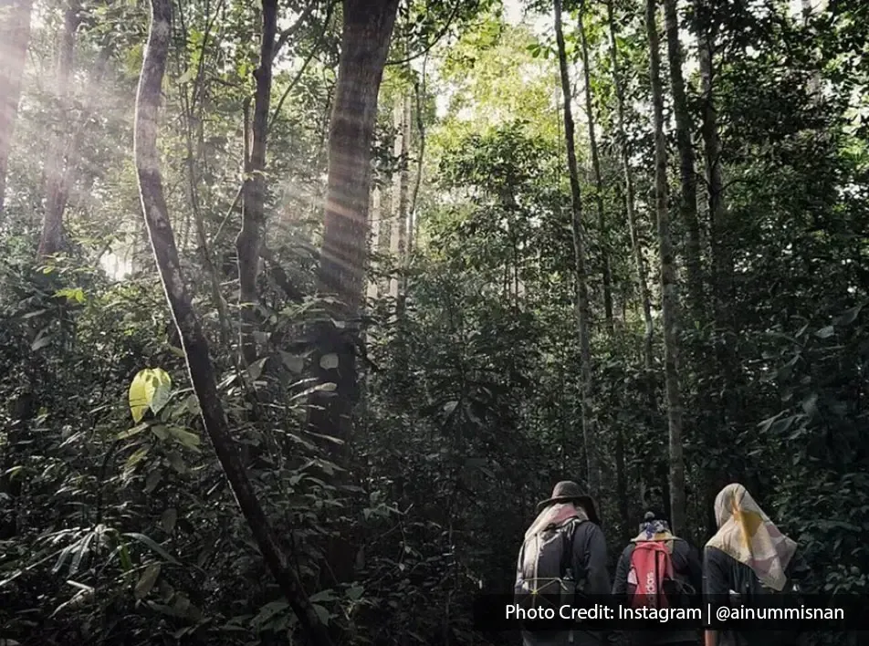 Aktiviti jungle trekking di dalam hutan hujan tropika - Lexis Hibiscus Port Dickson