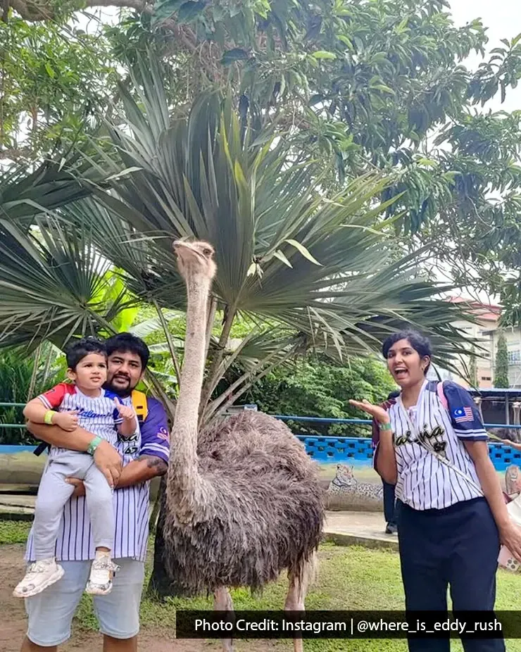 A family taking a photo with an ostrich at the zoo during the school holidays - Lexis MY