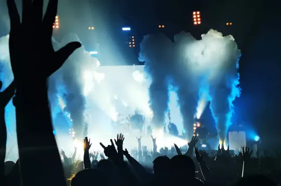 Audience enjoying live music performance 