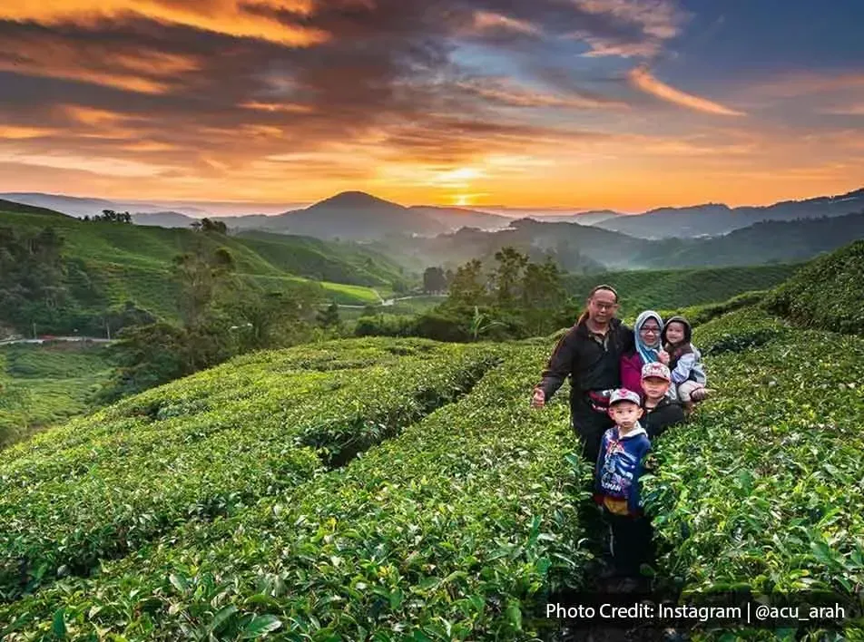 Enjoy quality time with your family while admiring the sunset in this beautiful place - Lexis Hibiscus