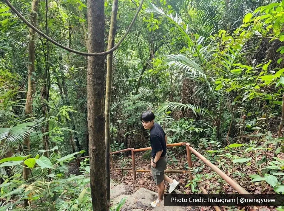 Man walking down forest steps surrounded by dense tropical greenery.