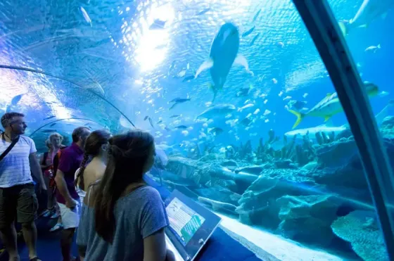 Aquaria KLCC, a famous place to visit in Kuala Lumpur near Imperial Lexis