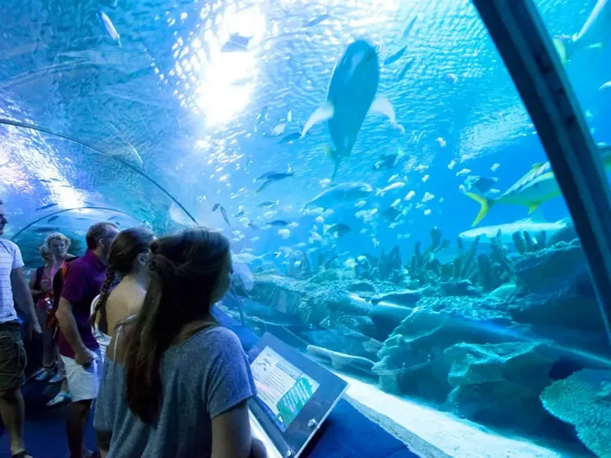 Aquaria KLCC, a famous place to visit in Kuala Lumpur near Imperial Lexis - Imperial Lexis Kuala Lumpur