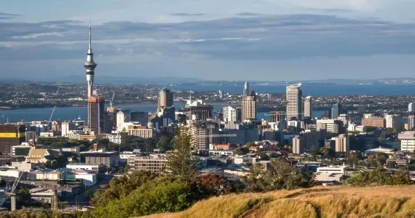 Auckland city viewed from a hilltop