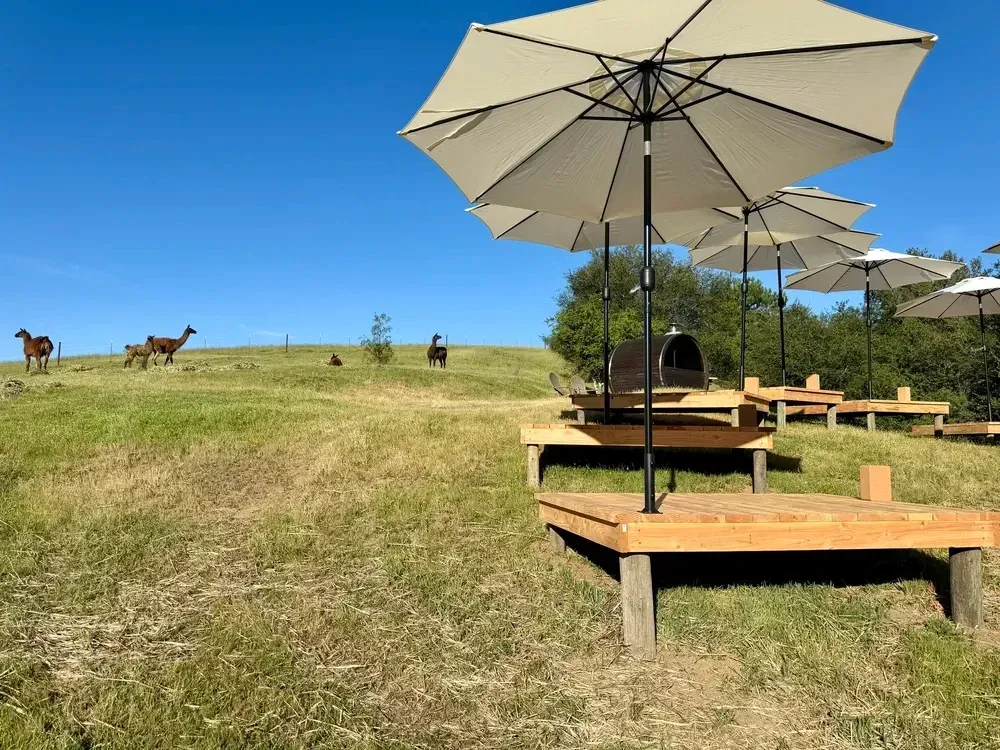 Loving Llama Wellness yoga decks and llamas in the hills