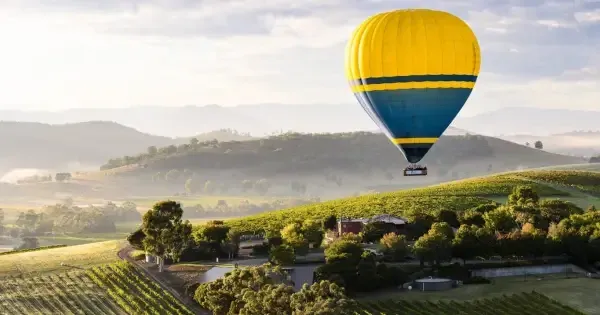 yellow and blue hot air balloon floating over the yarra valley