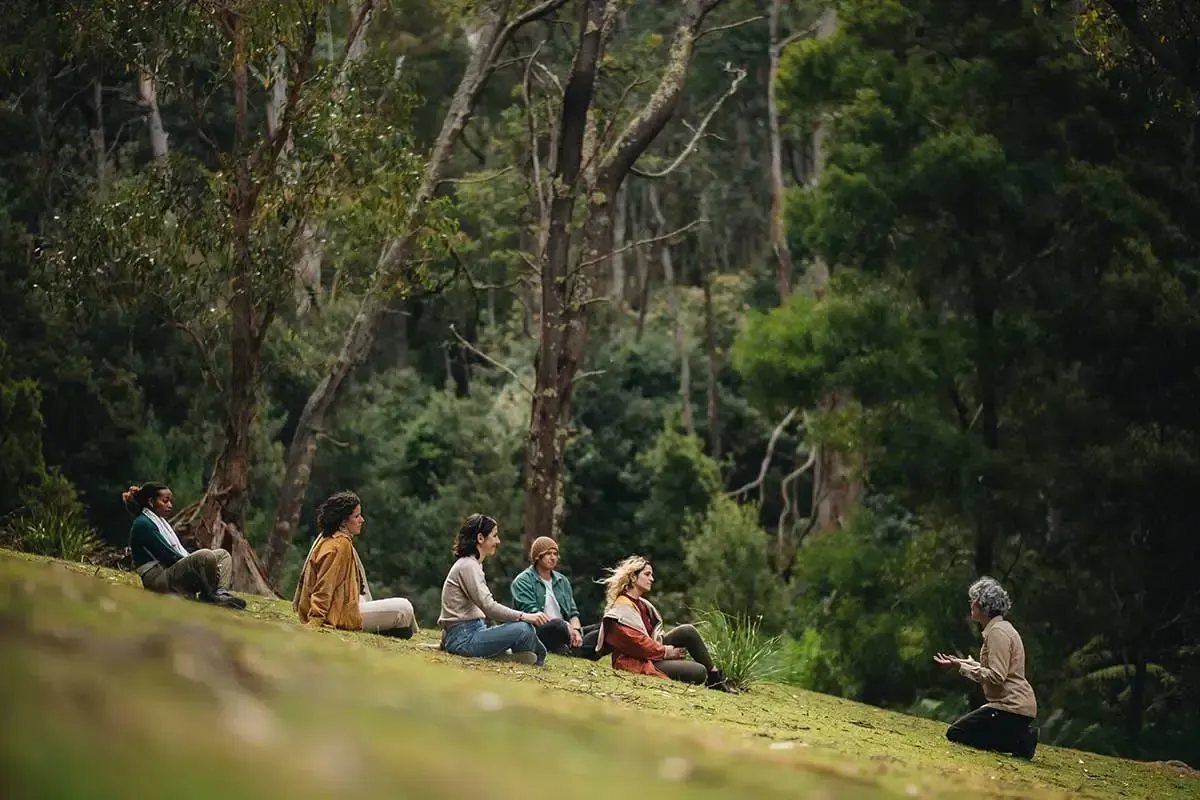 Meditators practicing mindfulness in forest bathing Tasmania experience