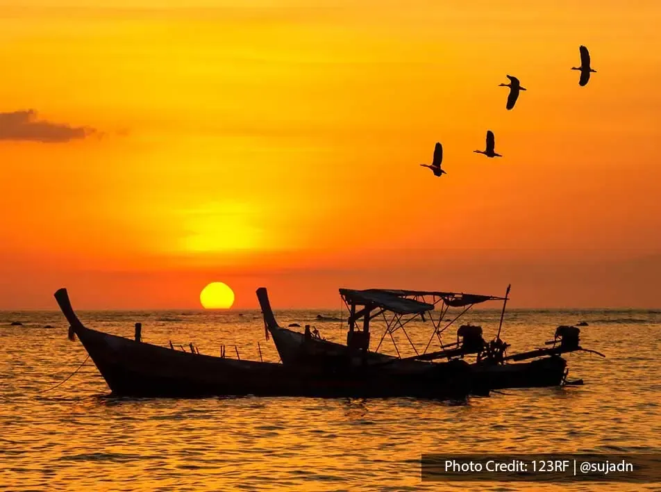 a boat sailing as birds dance in the glowing sunset sky - Grand Lexis PD