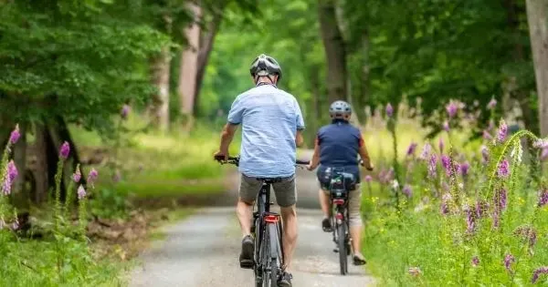 Cyclists riding along a leafy bike trail in Wellington