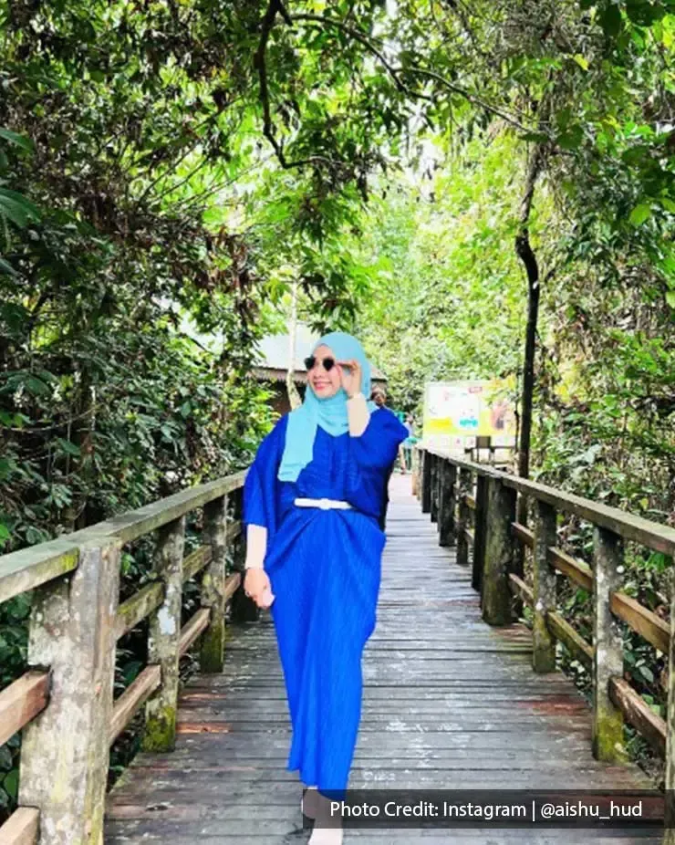 Enjoy the scenery of the flora and fauna when you visit the Borneo rainforest - Lexis Hibiscus